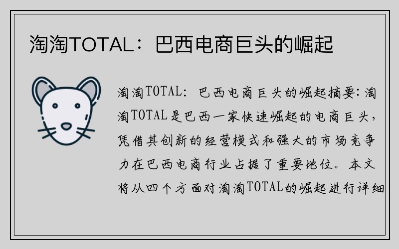淘淘TOTAL：巴西电商巨头的崛起